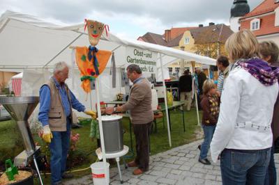 Foto des Albums: Herbstmarkt /Kartrennen 2008