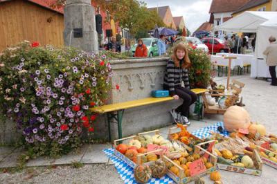 Foto des Albums: Herbstmarkt /Kartrennen 2008