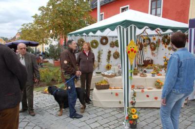 Foto des Albums: Herbstmarkt /Kartrennen 2008