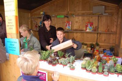 Foto des Albums: Herbstmarkt /Kartrennen 2008