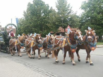 Foto des Albums: Voklsfestauszug 2008
