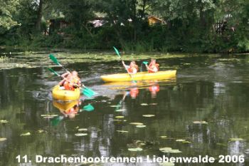 Foto des Albums: Drachenbootrennen 2006 (02.09.2006)