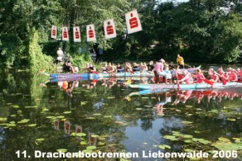 Foto des Albums: Drachenbootrennen 2006 (02.09.2006)