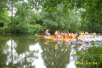 Foto des Albums: Drachenbootrennen 2008 (06.09.2008)