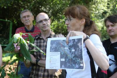 Foto des Albums: Ausbreitungsprävention des Indischen Springkrautes im Solmsbachtal (22. 07. 2014)