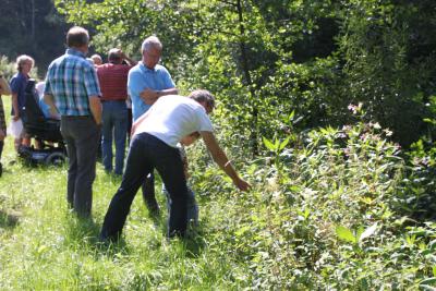 Foto des Albums: Ausbreitungsprävention des Indischen Springkrautes im Solmsbachtal (22. 07. 2014)