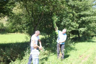 Foto des Albums: Ausbreitungsprävention des Indischen Springkrautes im Solmsbachtal (22. 07. 2014)