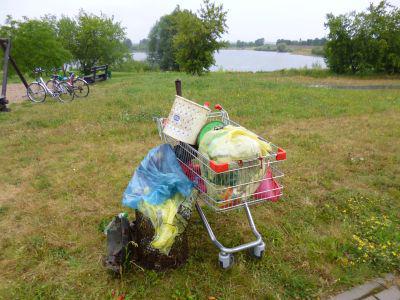 Foto des Albums: Aufräumaktion am Schlossteich am 29. 6. 2014