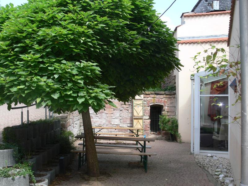 Bild der Galerie