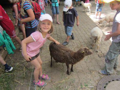 Foto des Albums: Ausflug nach Sottrum