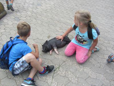Foto des Albums: Ausflug nach Sottrum