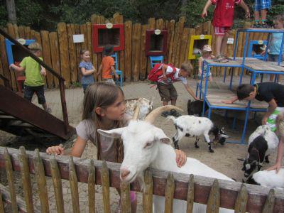 Foto des Albums: Ausflug nach Sottrum