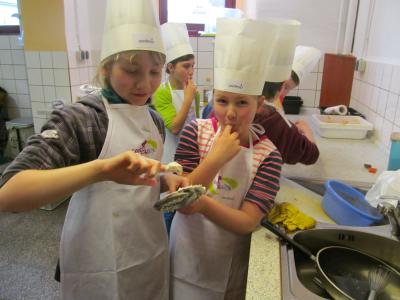 Foto des Albums: cook@school Klasse 4b