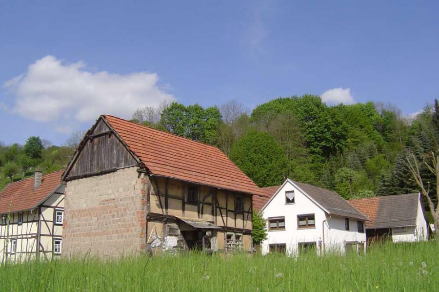 Bild der Galerie