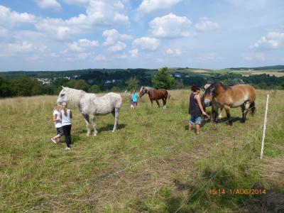 Foto des Albums: Ferienspiele Frauenchor u. MGV Kraftsolms 2014 (08. 08. 2014)