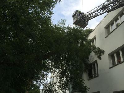 Foto des Albums: Einsatz 143/2014 - Sturmschaden
