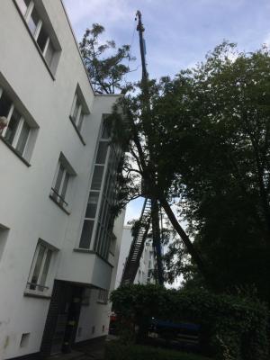 Foto des Albums: Einsatz 143/2014 - Sturmschaden