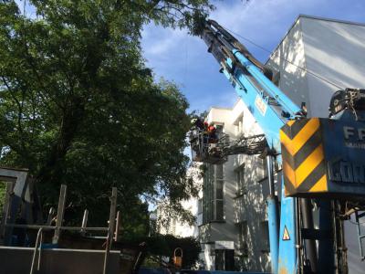 Foto des Albums: Einsatz 143/2014 - Sturmschaden