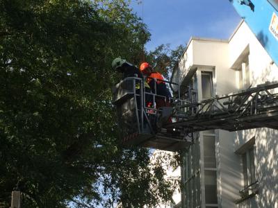 Foto des Albums: Einsatz 143/2014 - Sturmschaden
