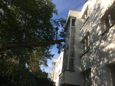 Foto des Albums: Einsatz 143/2014 - Sturmschaden