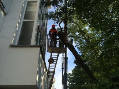 Foto des Albums: Einsatz 143/2014 - Sturmschaden