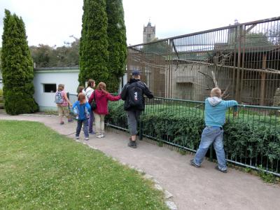 Foto des Albums: Jugendfeuerwehr zu Besuch in der Jugendherberge Strehla von 13.-15. Juni 2014 (30. 06. 2014)