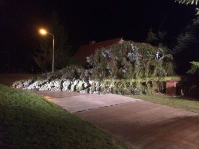 Foto des Albums: Einsatz 146/2014 - Sturmschaden