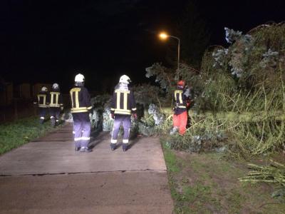Foto des Albums: Einsatz 146/2014 - Sturmschaden