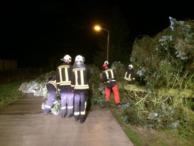 Foto des Albums: Einsatz 146/2014 - Sturmschaden