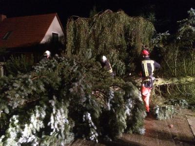 Foto des Albums: Einsatz 146/2014 - Sturmschaden