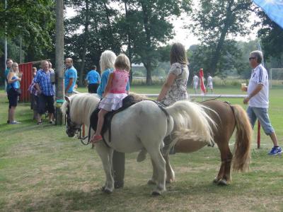 Foto des Albums: Sommercup 2014