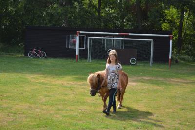 Foto des Albums: Sommercup 2014