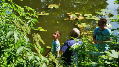 Foto des Albums: Jugendangeln am 06.07.2014
