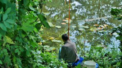 Foto des Albums: Jugendangeln am 06.07.2014
