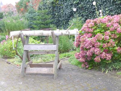 Foto des Albums: Rund ums Heiraten