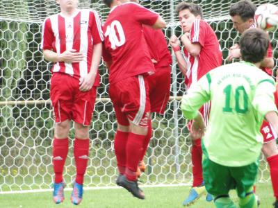 Foto des Albums: Bärenklau - HSV