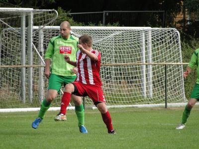 Foto des Albums: Bärenklau - HSV