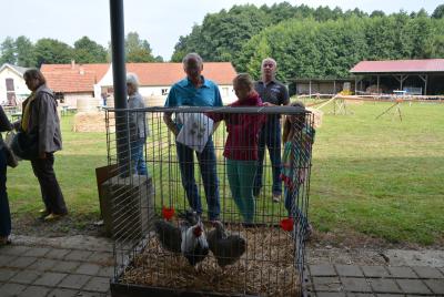 Foto des Albums: Bauern-, Dorf- und Museumsfest Streckenthin 2014