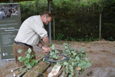 Foto des Albums: Bauern-, Dorf- und Museumsfest Streckenthin 2014