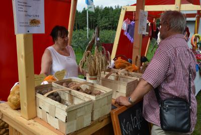 Foto des Albums: Pritzwalker Heidelbeertage 2014