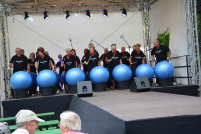 Foto des Albums: Pritzwalker Heidelbeertage 2014