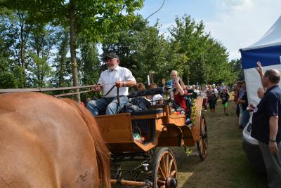Foto des Albums: Pritzwalker Heidelbeertage 2014
