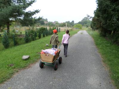 Foto des Albums: Sommerfest der Kita Hummelburg 2014