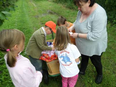 Foto des Albums: Sommerfest der Kita Hummelburg 2014