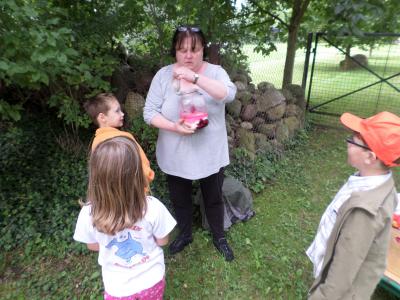 Foto des Albums: Sommerfest der Kita Hummelburg 2014