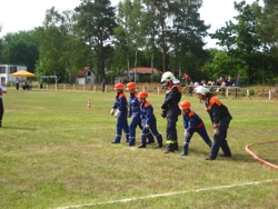 Foto des Albums: Amtsausscheid der Feuerwehren des Amtes Elsterland 2008 (07. 07. 2008)