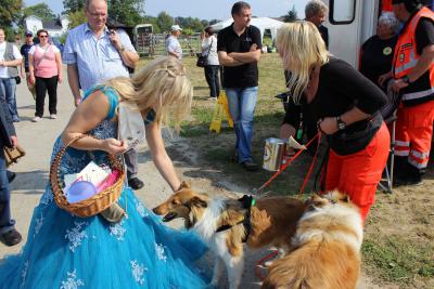 Foto des Albums: 14. Wittstocker Gewerbeschau (07.09.2014)