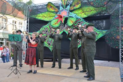 Foto des Albums: Herbstleuchten 2014