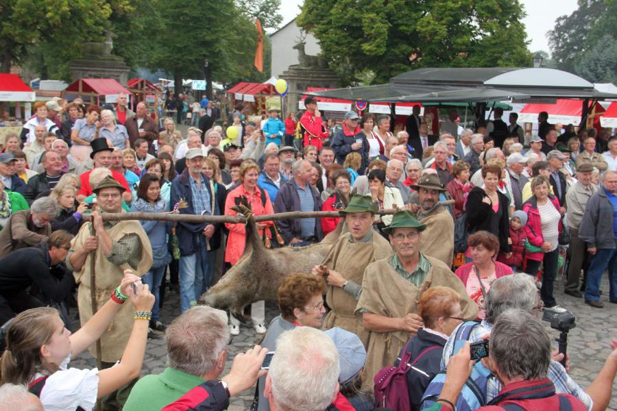 Bild der Galerie