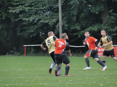 Foto des Albums: HSV II - Liebenwalde II